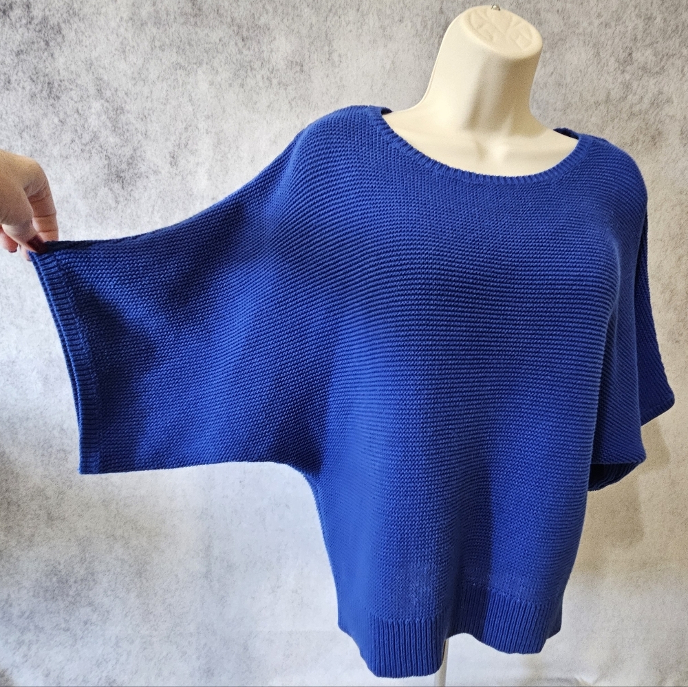 Chaus Knit Pullover Sweater with Seamless Shoulder - Picture 5 of 8